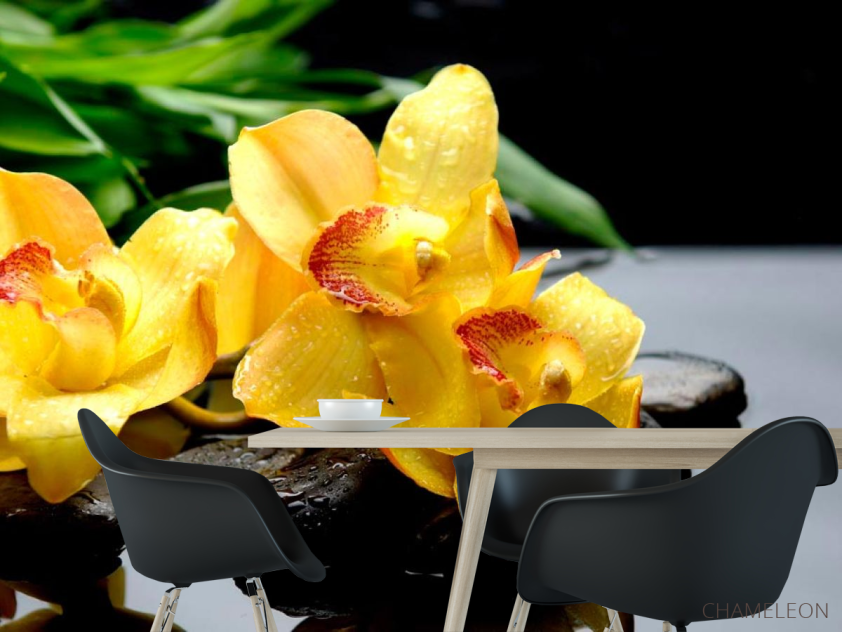 Фотошпалери Орхідея - 1