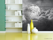 Фотошпалери сіра місяць - 3