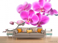 Фотообои Сиреневая орхидея - 1