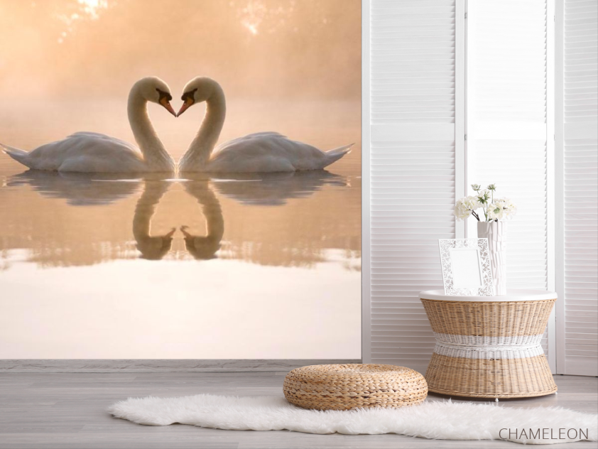 Фотошпалери Пара лебедів - 2