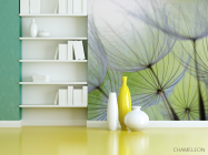 Фотошпалери кульбаби - 3