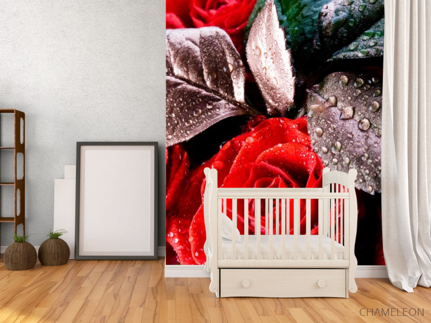 Фотообои Алая распустившаяся роза - 2