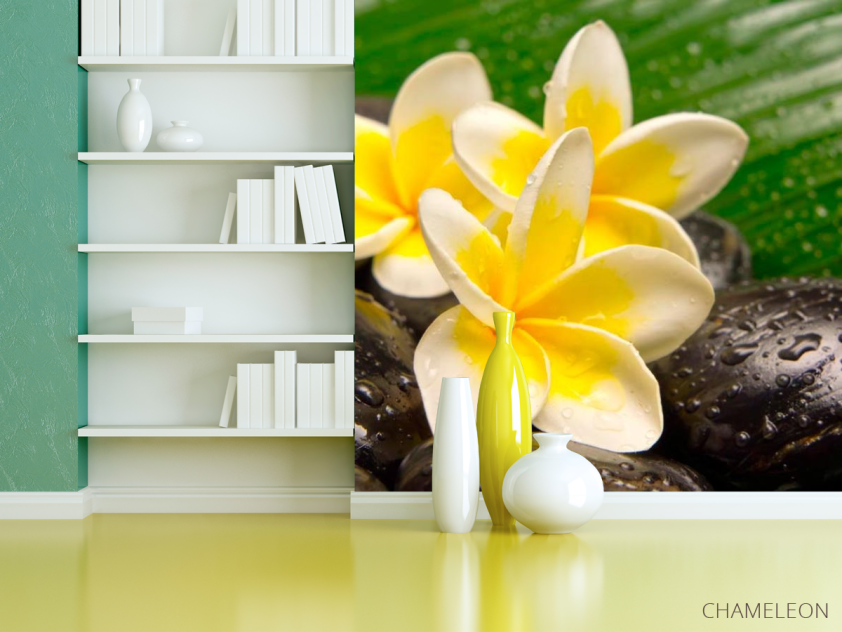 Фотошпалери Квіти, каміння, роса - 3