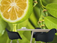 Фотошпалери яскравий лимон - 1