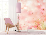 Фотошпалери польові квіточки на сонці - 4