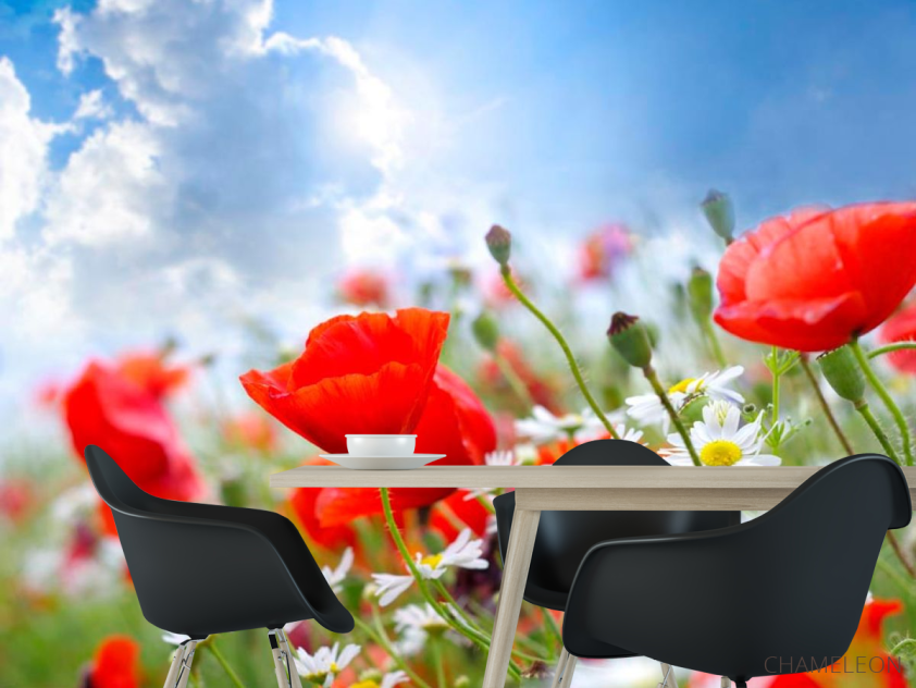 Фотошпалери Маки та ромашки - 1