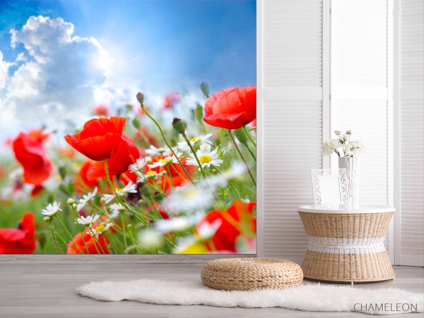 Фотошпалери Маки та ромашки - 2