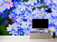 Фотообои Весенние голубые цветы - 2