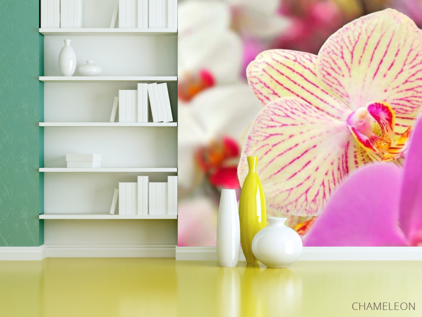 Фотошпалери Орхідеї в цяточку - 3