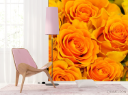 Фотошпалери Троянди жовтого відтінку - 4