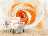 Фотообои Роза кремовая макро-съемка - 4