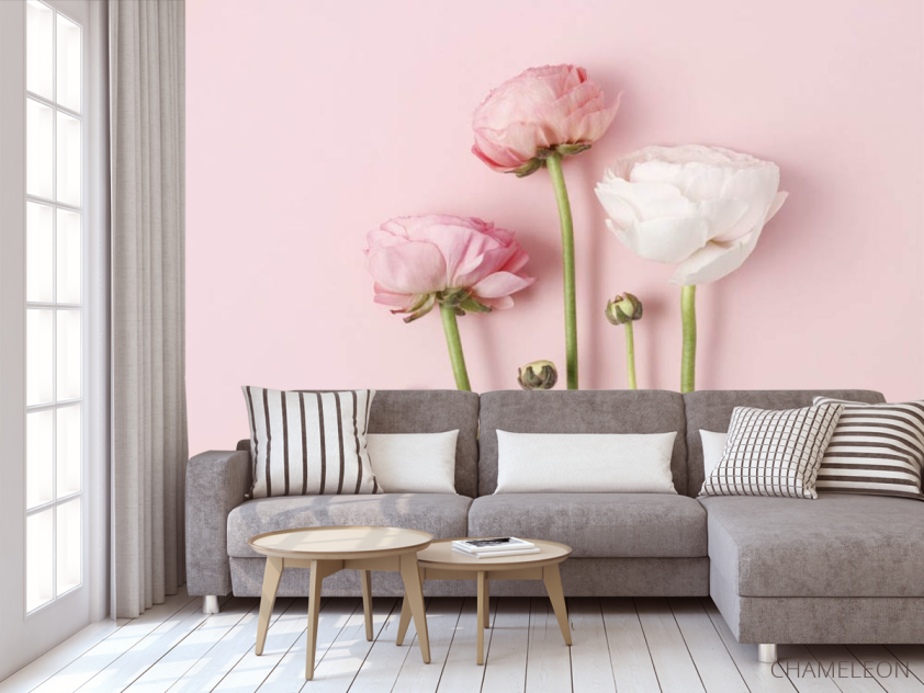 Фотообои Минималистичные рунункюлюсы - 3