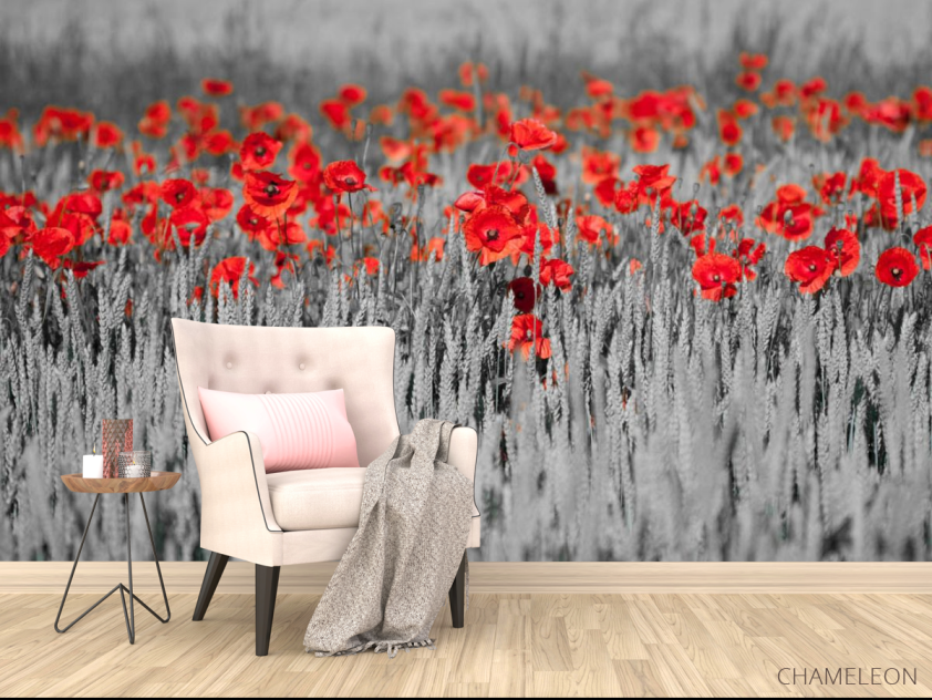 Фотообои Красные маки на чб фоне - 4