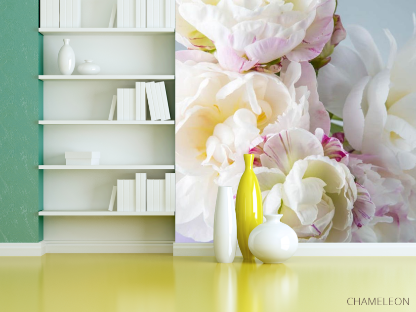 Фотошпалери півонії білі - 3