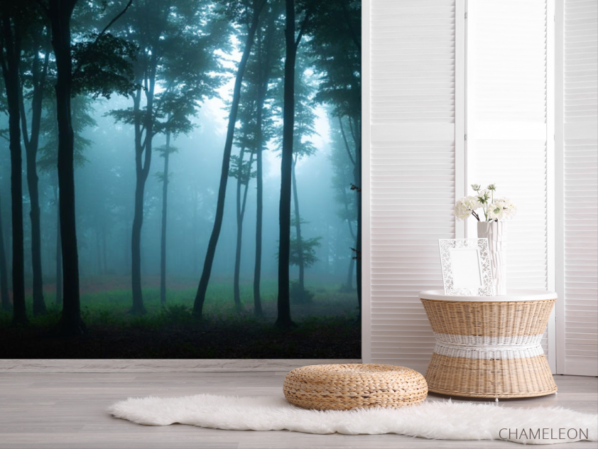 Фотошпалери ліс, туман - 2