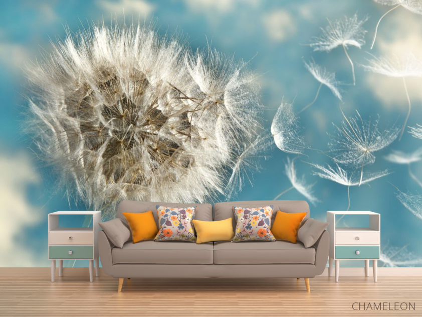 Фотообои одуванчики - 1