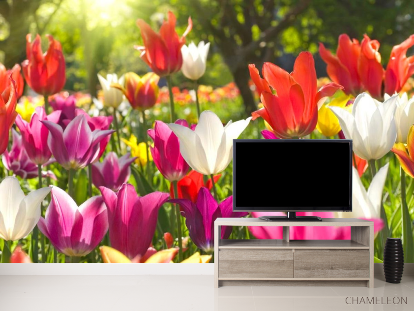 Фотообои Остроконечные тюльпаны - 2