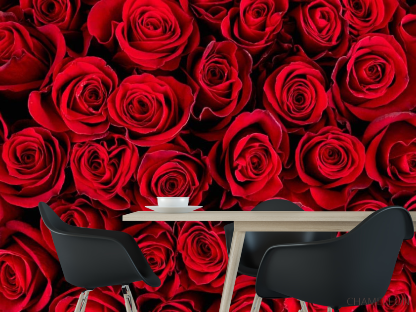 Фотошпалери red roses - 1