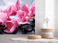 Фотошпалери Орхідеї блідо-рожеві - 2