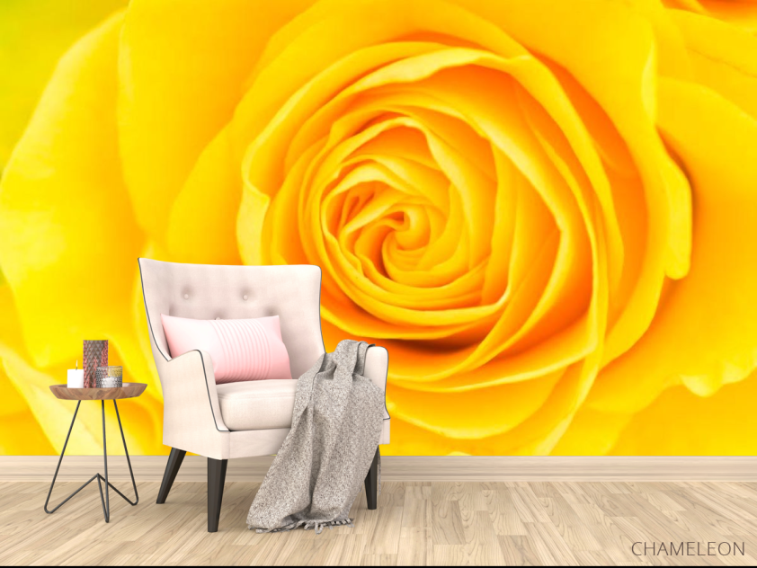 Фотообои Желтая роза крупным планом - 4