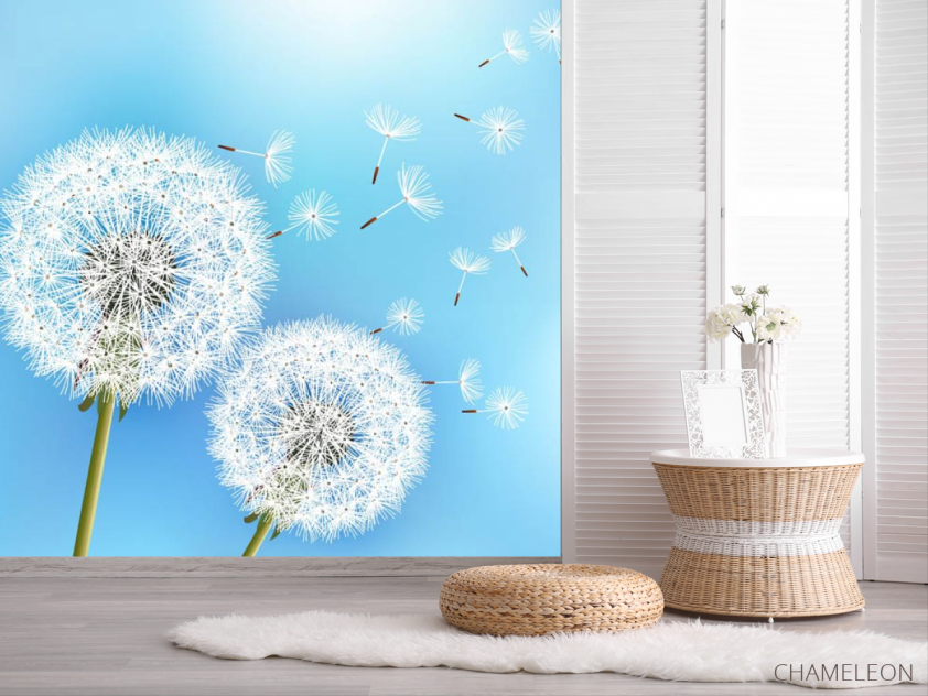 Фотошпалери кульбаби - 2