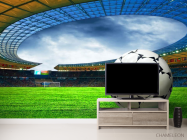 Фотообои Мяч на футбольном поле - 2