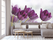 Фотообои тюльпаны - 3