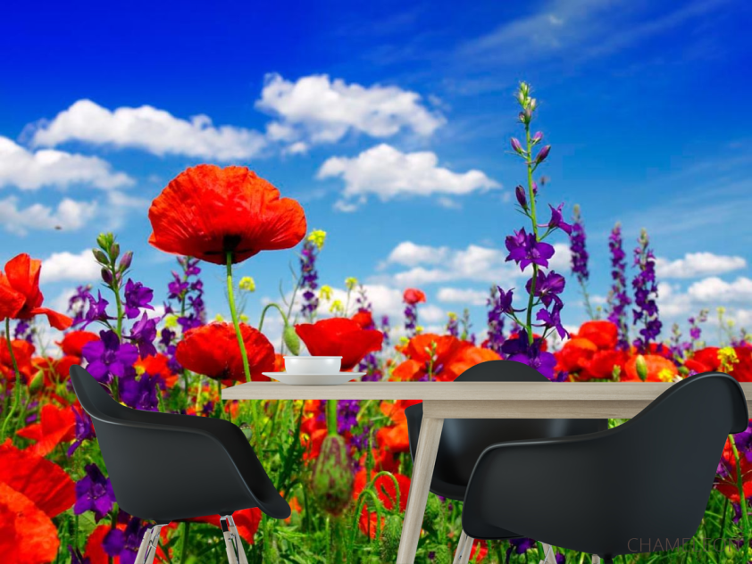 Фотошпалери Маки - 1