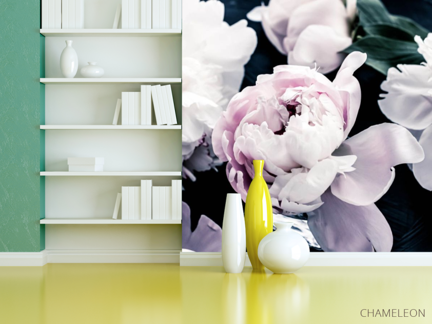 Фотошпалери півонії на темному - 3