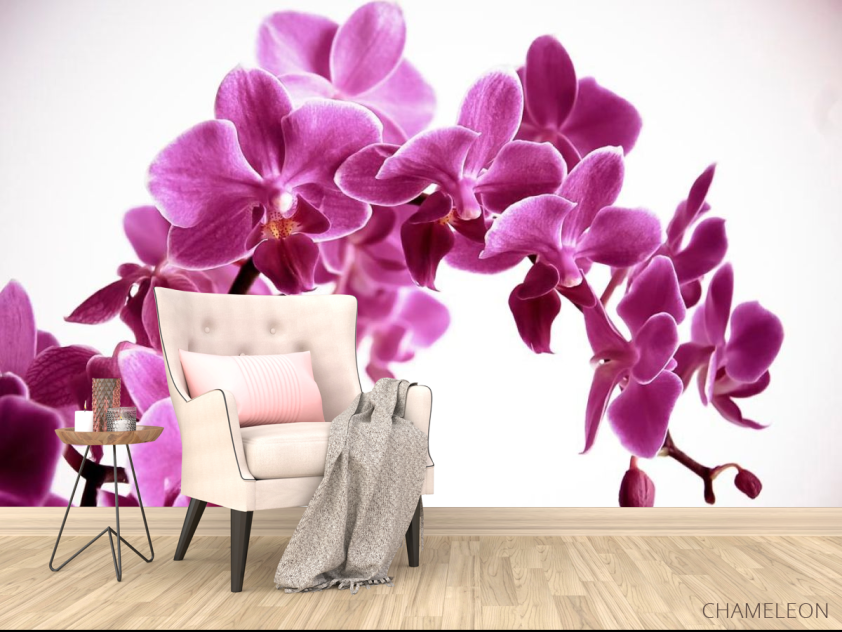 Фотообои Орхидея - 4