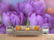Фотообои фиолетовый тюльпан - 1
