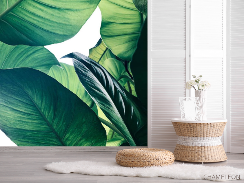 Фотошпалери зелене листя - 2