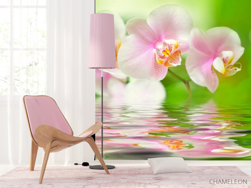 Фотообои Орхидеи розово-белые - 4