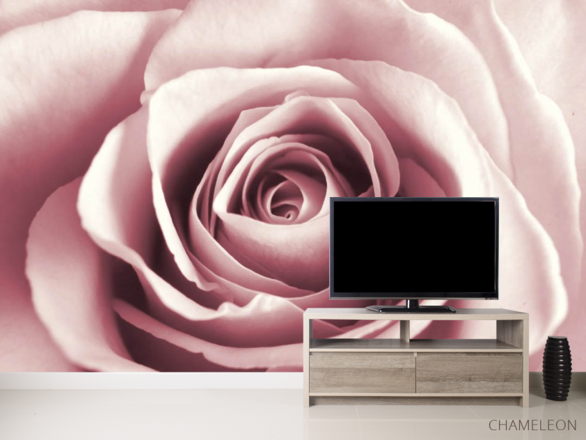 Фотообои бутон розовой розы - 2