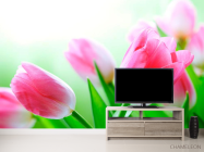 Фотообои Тюльпаны в цвету - 2