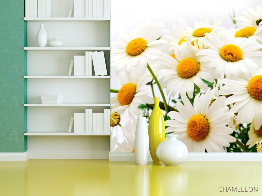 Фотошпалери Букет польових ромашок - 3