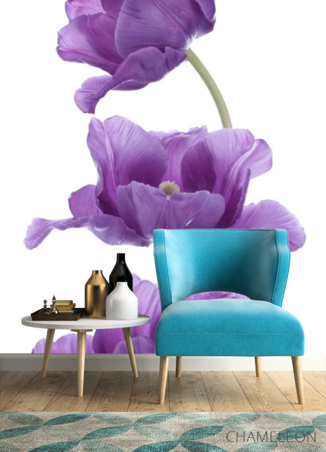 Фотообои фиолетовые тюльпаны - 4
