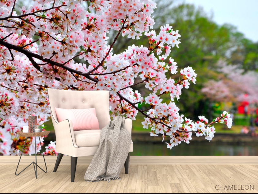Фотообои Цветущий вишневый сад - 4