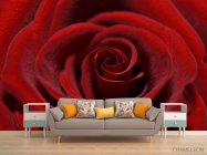 Фотообои красная бархатная роза - 1