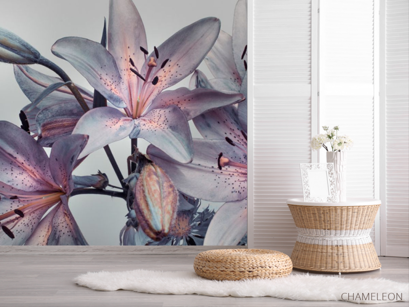 Фотошпалери Фіолетові лілії - 2