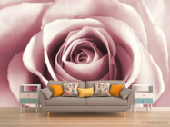 Фотообои бутон розовой розы - 1