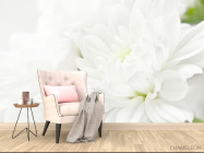 Фотообои Белые хризантемы - 4