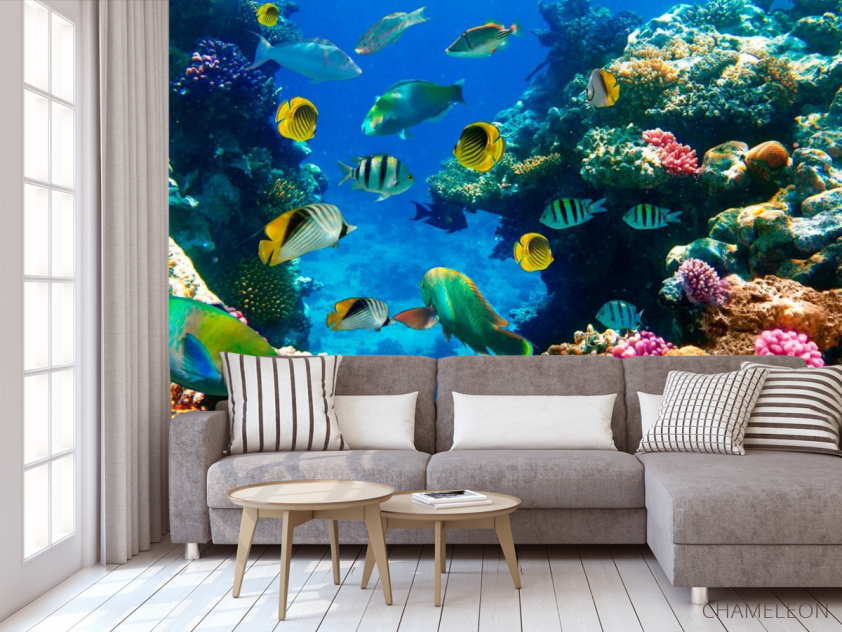 Фотообои Рыбий косяк - 3