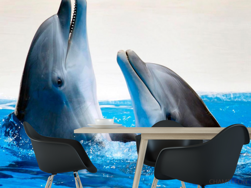 Фотообои Общение дельфинов - 1