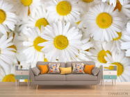 Фотообои ромашки - 1