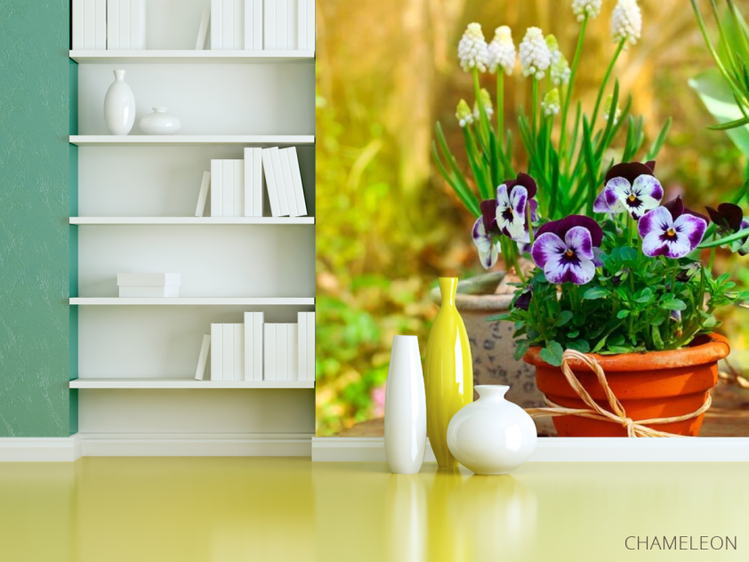 Фотошпалери Горщик з фіалками - 3