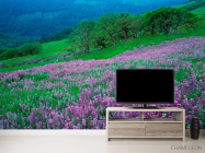 Фотообои Гармония на луке - 2