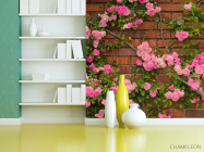 Фотошпалери чайна троянда на цегляній стіні - 3