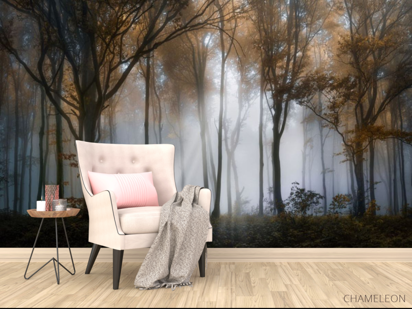 Фотообои Туманные деревья в лесу - 4