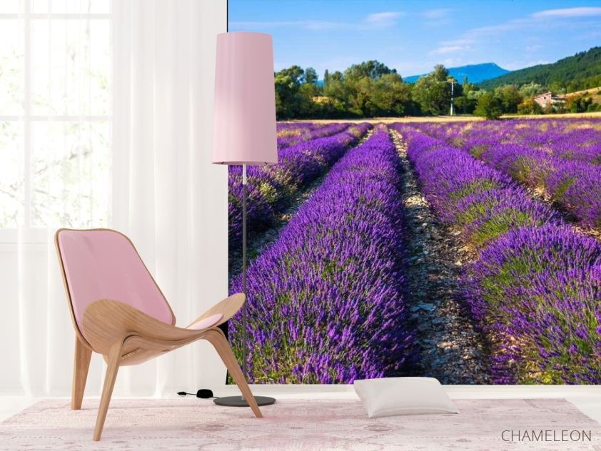 Фотошпалери поле квітів - 4